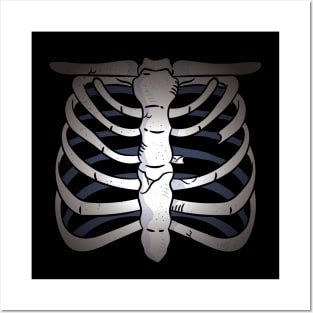 Chest Skeleton Design Posters and Art